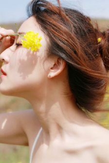 樱花草www日本