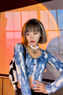 x女伯爵