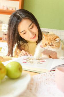 高效天堂bt在线www种子